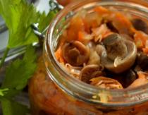 Лучшие рецепты приготовления солянки с грибами на зиму и хранение заготовок